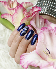 Image showing Beautifully manicured fingernails