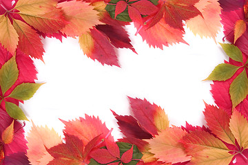 Image showing autumn leaves background