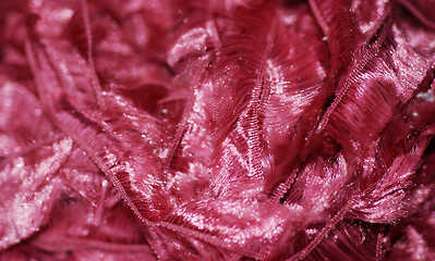 Image showing Pink Fibres