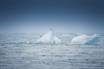 Image showing Blue icebergs closeup