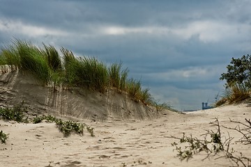 Image showing Sandy beach with grass