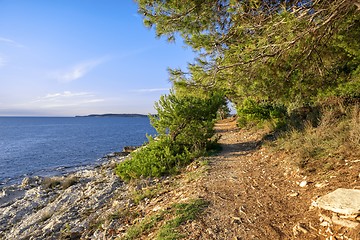 Image showing Coastline at Premantura