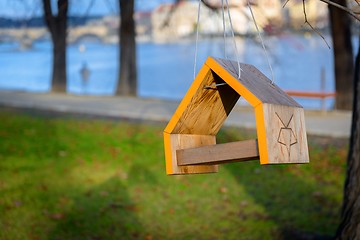 Image showing Tree house for birds