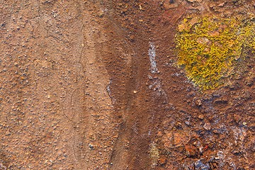 Image showing Dry soil closeup