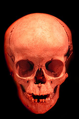 Image showing human skull in the dark