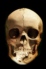 Image showing human skull in the dark