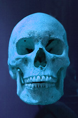 Image showing human skull in the dark