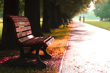 Image showing autumn in the park