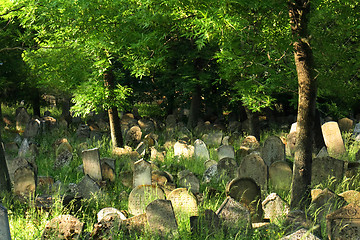 Image showing old jewish burial place