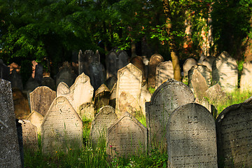 Image showing old jewish burial place