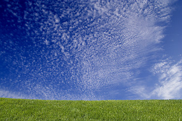 Image showing grass and blue sky