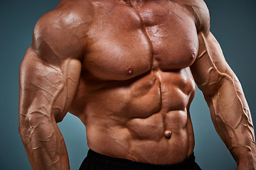 Image showing torso of attractive male body builder on gray background.