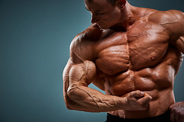 Image showing torso of attractive male body builder on gray background.