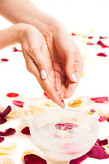 Image showing Female tender hands making bowl