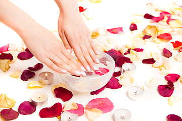 Image showing Female gentle hands on bowl with water