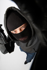 Image showing Housebreaker on pure white background