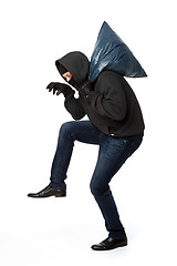 Image showing Burglar steals with blue bag