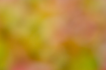 Image showing Blur colors