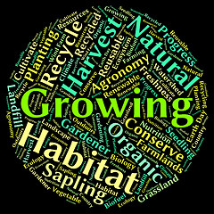 Image showing Growing Word Means Growth Sowing And Sow