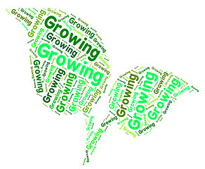 Image showing Growing Word Shows Growth Grows And Cultivation