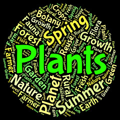 Image showing Plants Word Means Herbage Text And Botanical