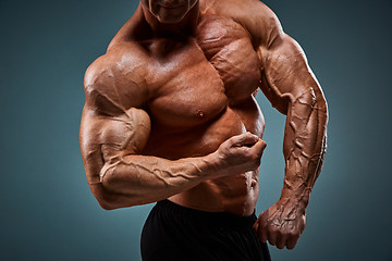 Image showing torso of attractive male body builder on gray background.