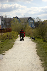 Image showing Dog walking