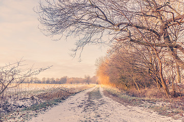 Image showing Nature path at wintertime in the sunrise