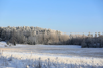 Image showing Blue and White Winters Day