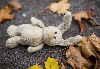 Image showing toy rabbit and autumn leaves on road or ground