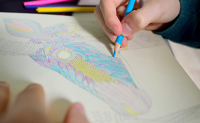 Image showing Adults coloring book with vintage twist