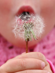 Image showing Make a wish