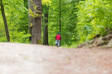 Image showing Cyclist Riding Bycicle on Forest Trail.