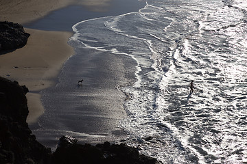 Image showing Silhouette of man and dog having fun on seaside.