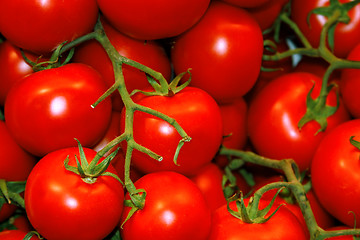 Image showing Tomatoes