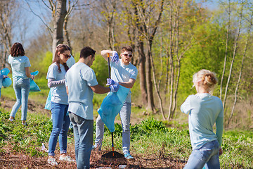 Image showing volunteers with garbage bags cleaning park area