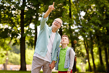 Image showing grandfather and boy pointing up at summer park