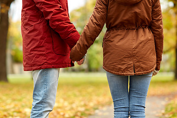 Image showing close up of couple holding hands in autumn park