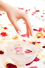 Image showing Cropped hand above bowl with petals