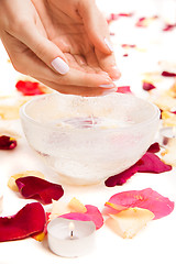 Image showing Female tender hands making bowl