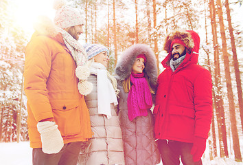 Image showing group of smiling men and women in winter forest