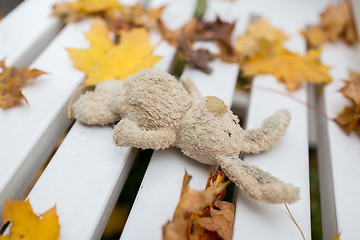 Image showing toy rabbit on bench in autumn park