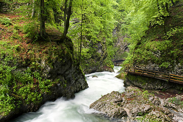 Image showing river