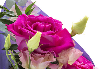 Image showing Rose flower bouquet isolated