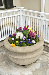 Image showing Stone planter with spring flowers