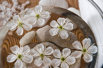 Image showing white wellness products