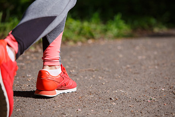 Image showing young fitness woman hiker legs at forest trail