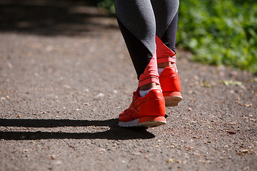 Image showing young fitness woman hiker legs at forest trail