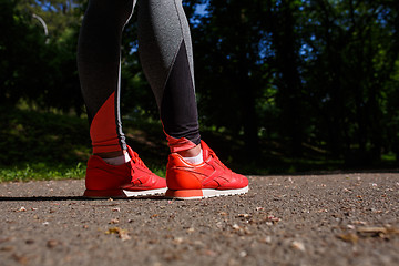 Image showing young fitness woman hiker legs at forest trail