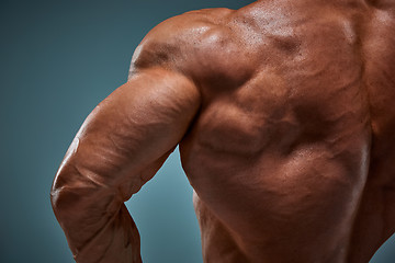 Image showing torso of attractive male body builder on gray background.